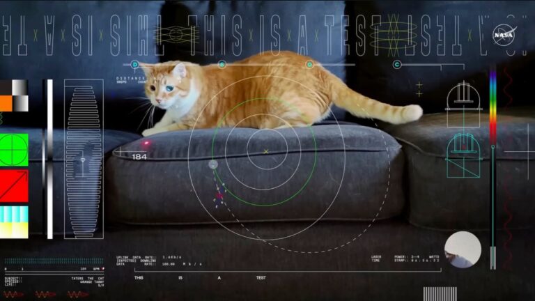 NASA-Cat-video-from-space-2023